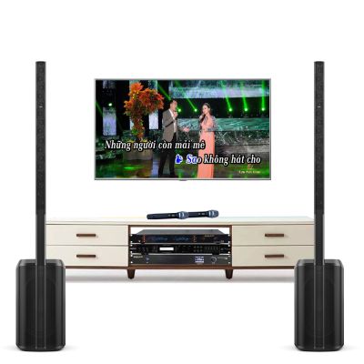 Bộ Dàn Karaoke Cao Cấp Bose L1 Pro16 TVA 132022 0