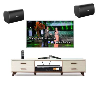 Bộ Dàn Karaoke Gia Đình Bose TVA 242022 (Bose DesignMax DM6S + Boston Acoustic BA400) 0