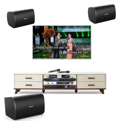 Bộ Dàn Karaoke Gia Đình TVA 252022 (Bose DesignMax DM6SE + Fedyco D4.4 + DesignMax DM10S + Paramax Mx-220 + Navison N.608 + Micro Soundmix 599 Pro II) 0