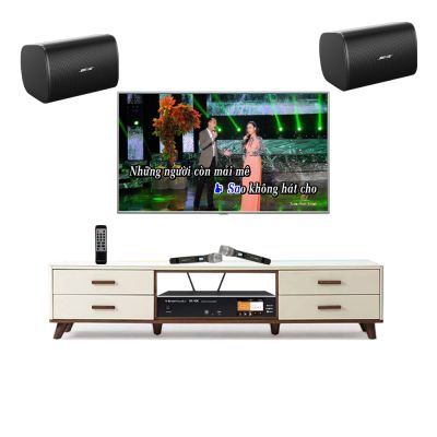 Bộ Dàn Karaoke Gia Đình TVA 262022 (Bose DesignMax DM8S + Boston Acoustics BA400) 0