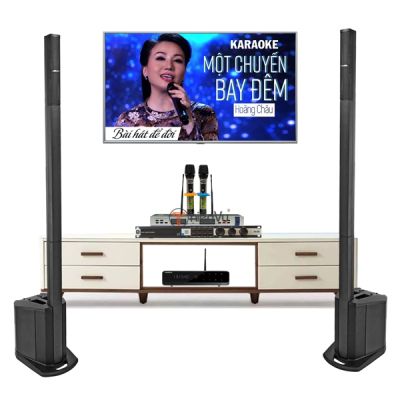 Dàn âm thanh karaoke Bose chuyên nghiệp cho không gian 35m2 0