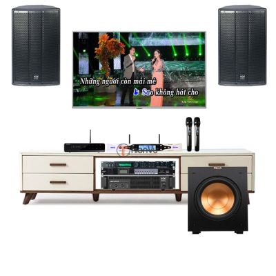 Bộ dàn karaoke gia đình cao cấp TVA 25 0