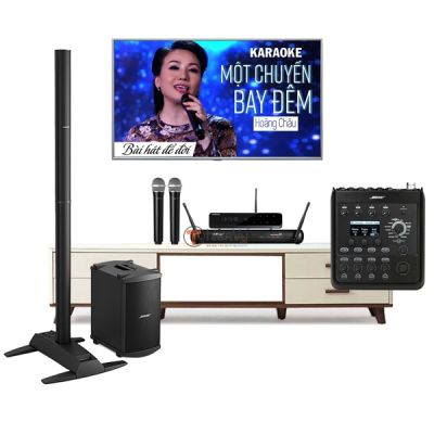 Dàn karaoke chuyên nghiệp loa Bose TVA 22 0