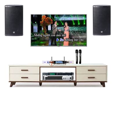 Bộ dàn karaoke gia đình TVA 51 0