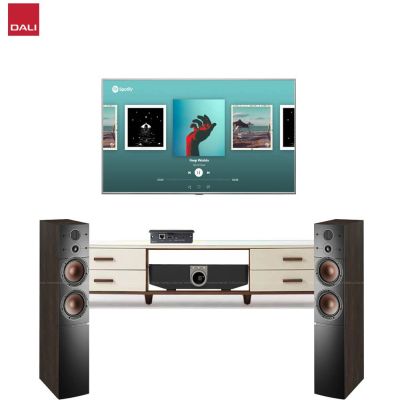 Dàn nghe nhạc không dây Dali Callisto 6C NN132-TV (Dali Callisto 6C & Dali Sound Hub & Dali BluOS NPM-1) 0