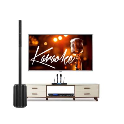 Bộ loa karaoke Bose L1 Pro8 TVA552024 0