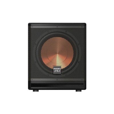 Loa subwoofer Paramax Sub-A30 chính hãng 0