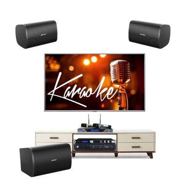 Dàn Karaoke Bose Designmax DM8S Cao Cấp TVA1212024 0