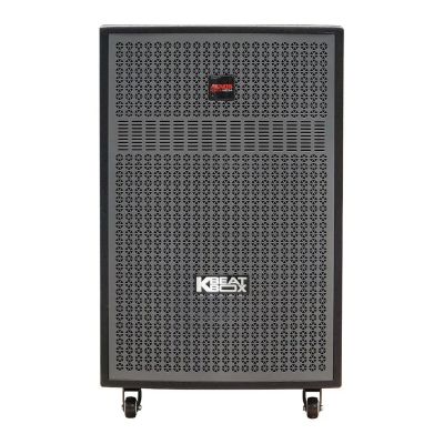 Loa karaoke di động Acnos CB603GD chính hãng 0