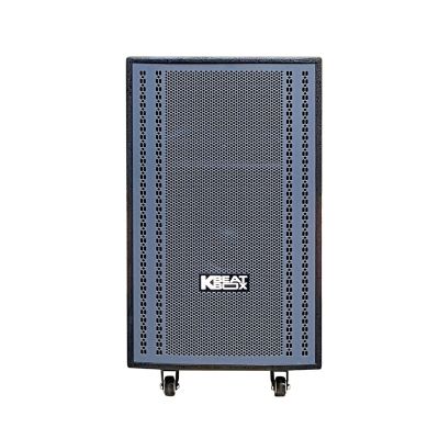 Loa karaoke di động Acnos CB3051G chính hãng 0