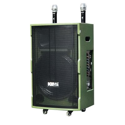 Loa karaoke di động Acnos CB39G chính hãng 0