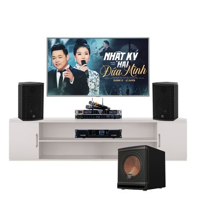 Bộ Dàn Âm Thanh Karaoke SE Audiotechnik Cox 8 MK II TVA 0232024 0