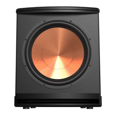 Loa subwoofer Paramax Sub-D40 chính hãng 0