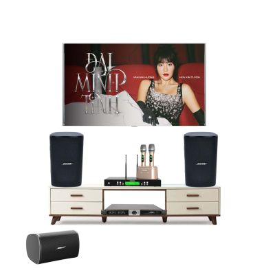 Bộ Dàn Karaoke Bose Designmax DM8S Cao Cấp TVA1032024 0