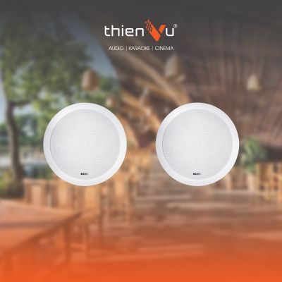 Hệ Thống Âm Thanh Nhà Hàng Cafe CANTON INCEILING 463 (Từ 80-100m2) TV11 0