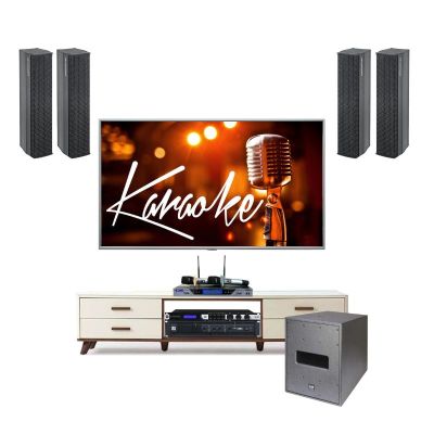 Dàn Loa Karaoke SE Audiotechnik IC34 Cao Cấp TVA1162024 0