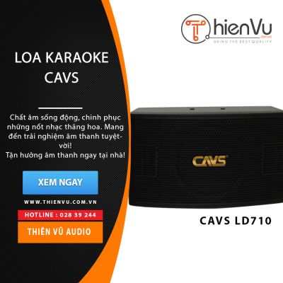 Loa karaoke CAVS LD-710 chính hãng 0