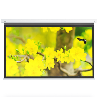 Màn chiếu DNP Supernova Flex 120 inch 0