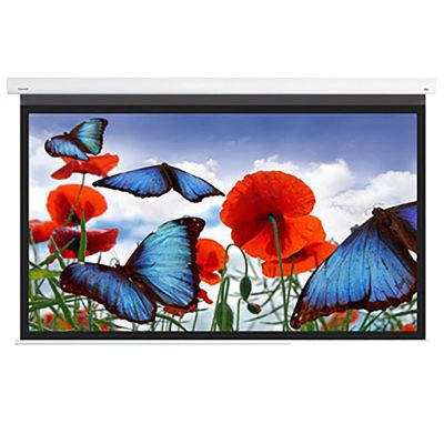 Màn chiếu DNP Flex 100 inch (16:9) chính hãng 0