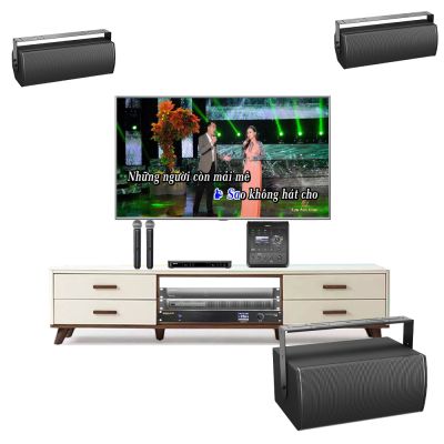 Bộ Dàn Karaoke Cao Cấp Bose AMU 208 TVA162022 0