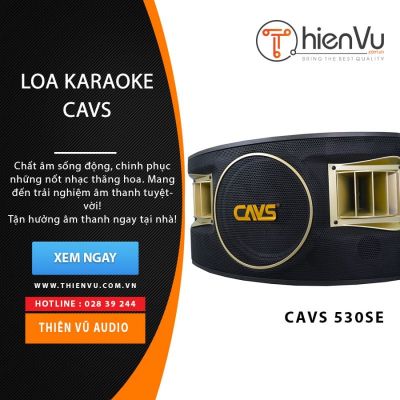 Loa karaoke CAVS 530SE chính hãng 0