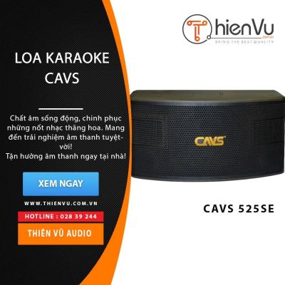 Loa karaoke CAVS 525SE chính hãng 0