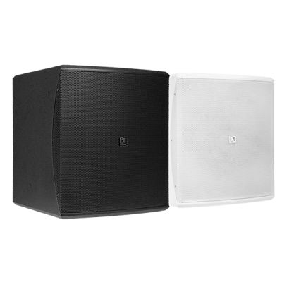 Loa subwoofer Audac Baso10 chính hãng 0