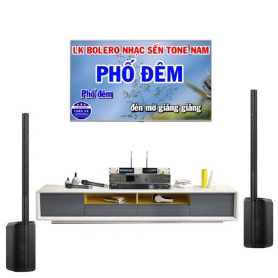 Bộ dàn karaoke gia đình cao cấp Bose L1 Pro8 0