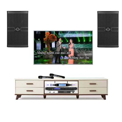 Dàn karaoke gia đình công suất 500W - TVA 111 0