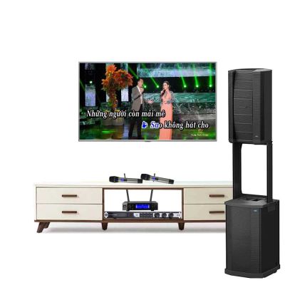 Dàn karaoke Bose chuyên nghiệp F1 812 công suất 1000W 0