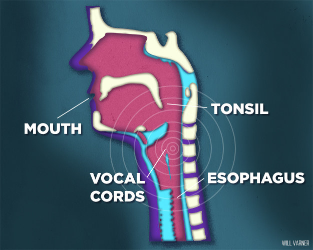 Lý giải tại sao bạn hát karaoke có cảm giác dở hơn hát bình thường 2