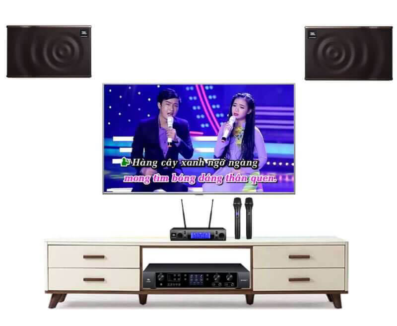 co-nen-mua-dan-loa-karaoke-sony-cho-gia-dinh