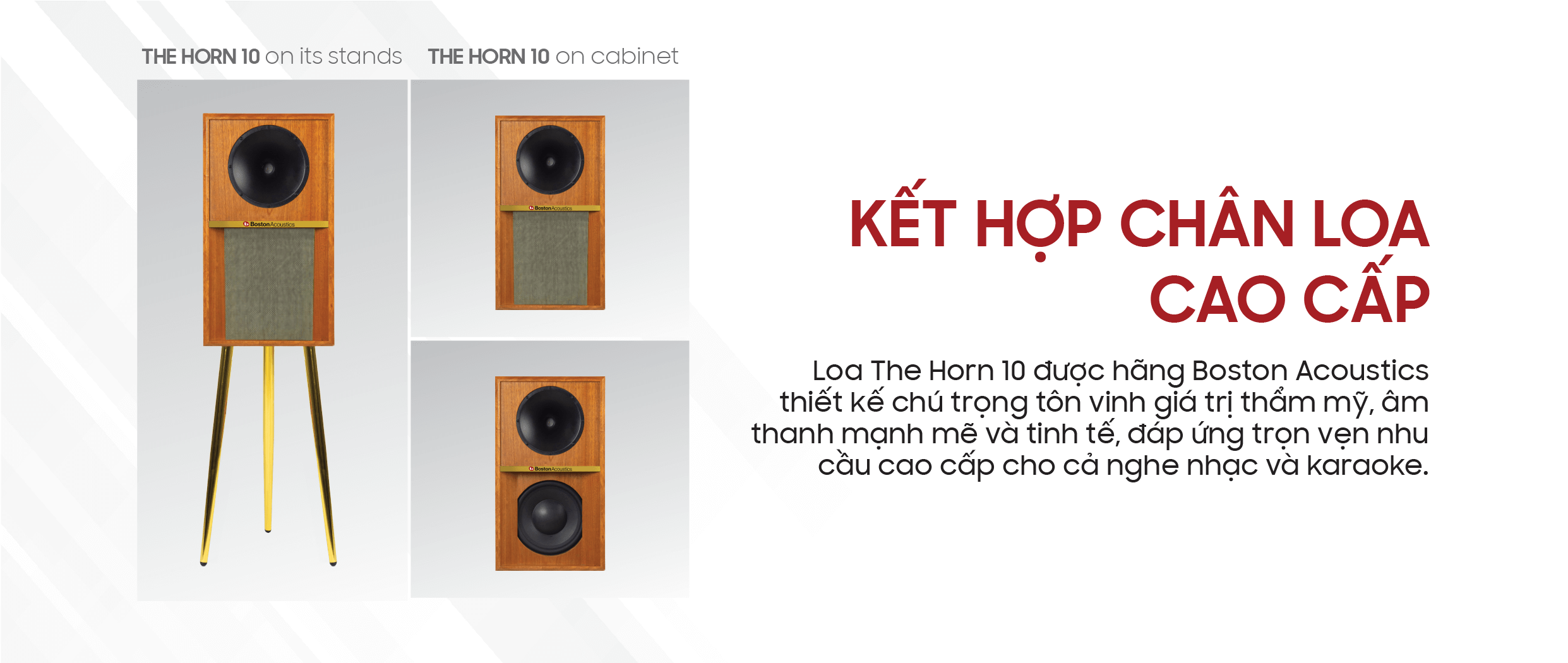 loa-karaoke-nghe-nhac-boston-acoustics-the-horn-10-chinh-hang