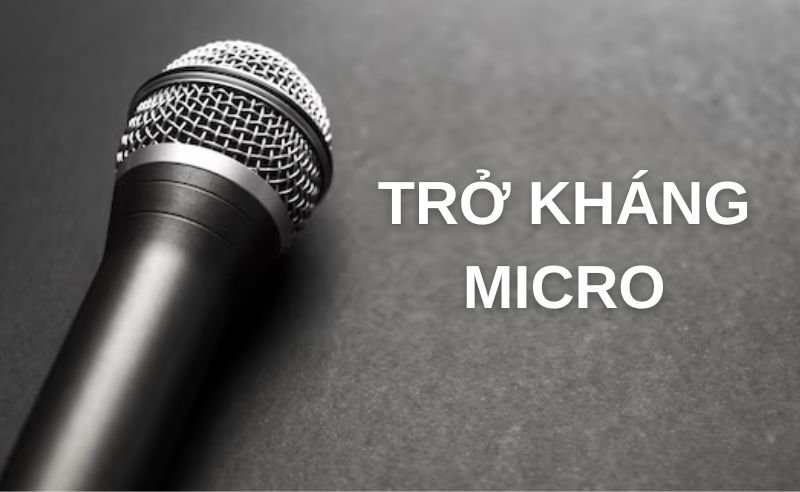 micro-karaoke-khong-day-tro-khang