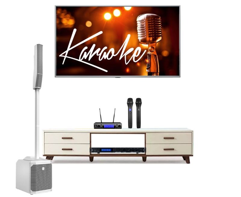 bo-loa-karaoke-gia-dinh-electrovoice-evolve-30m