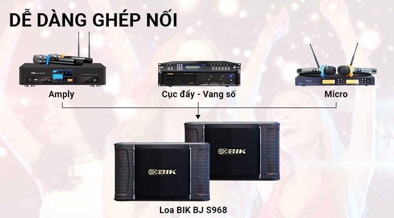 loa-karaoke-bik-bj-s968-bass-30cm-giao-hang-nhanh-nhat