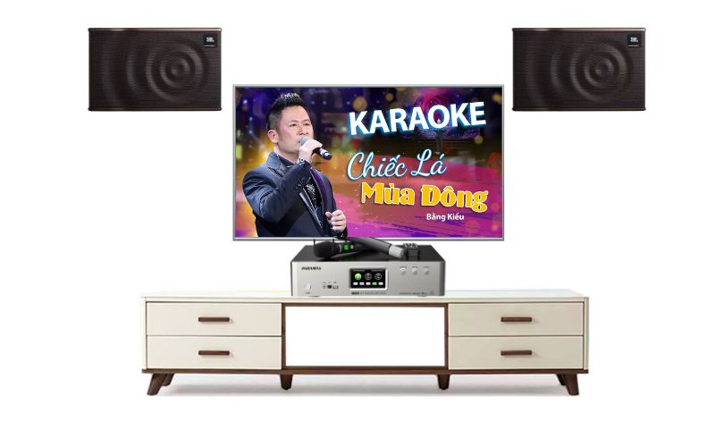 dan-am-thanh-karaoke-jbl-mk10-chinh-hang