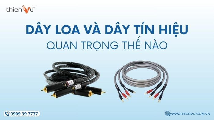 day-loa-va-day-tin-hieu-quan-trong-the-nao-trong-dan-am-thanh