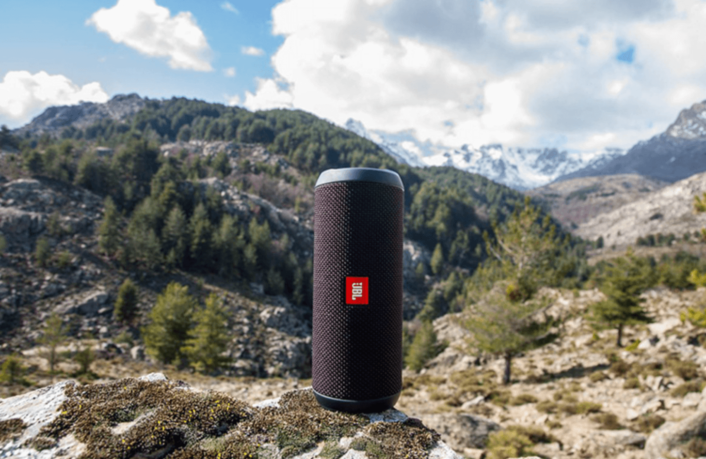 loa bluetooth jbl flip 4