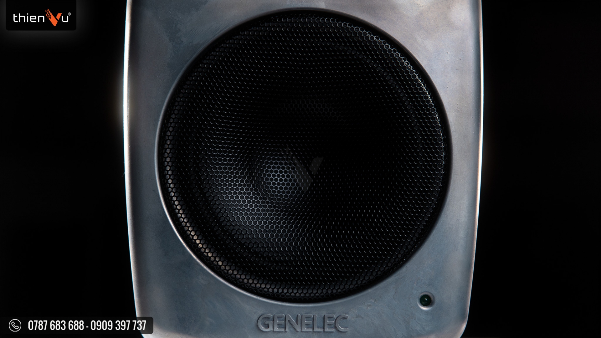 cu-loa-cao-cap-loa-kiem-am-genelec-8030c-raw