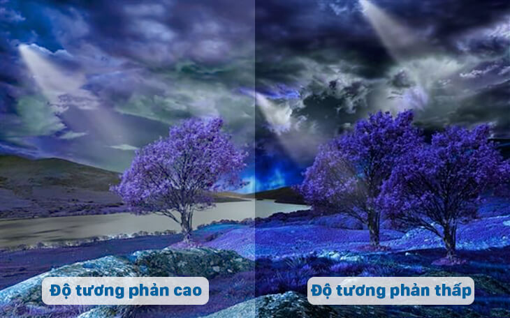 ty-le-tuong-phan-cao-may-chieu-optoma-hd39hdr-thien-vu-audio