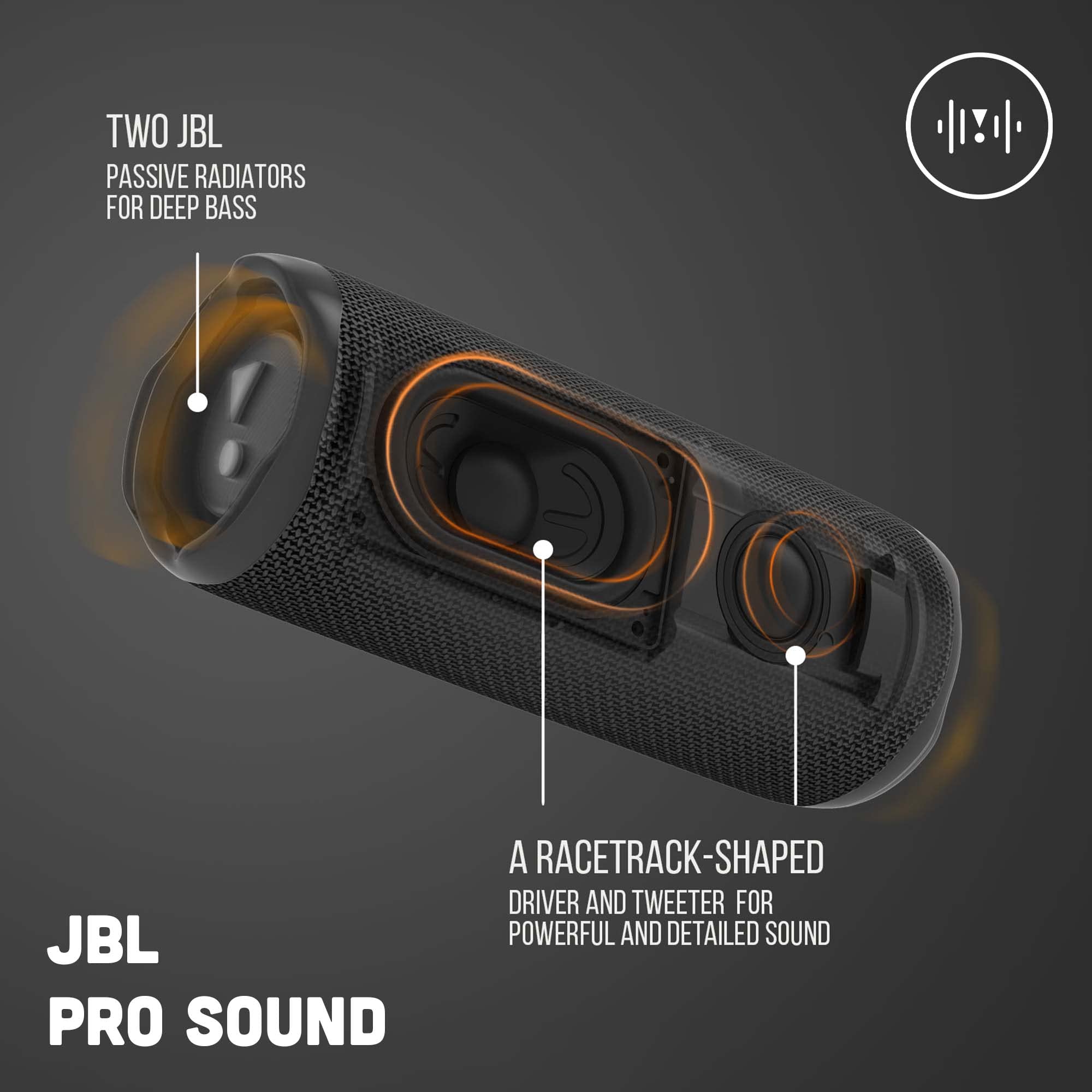 loa-di-dong-jbl-flip-6-1