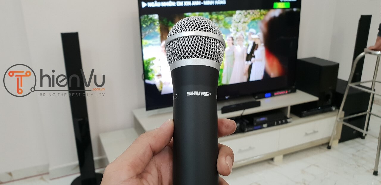 Micro Shure SVX288E/PG58