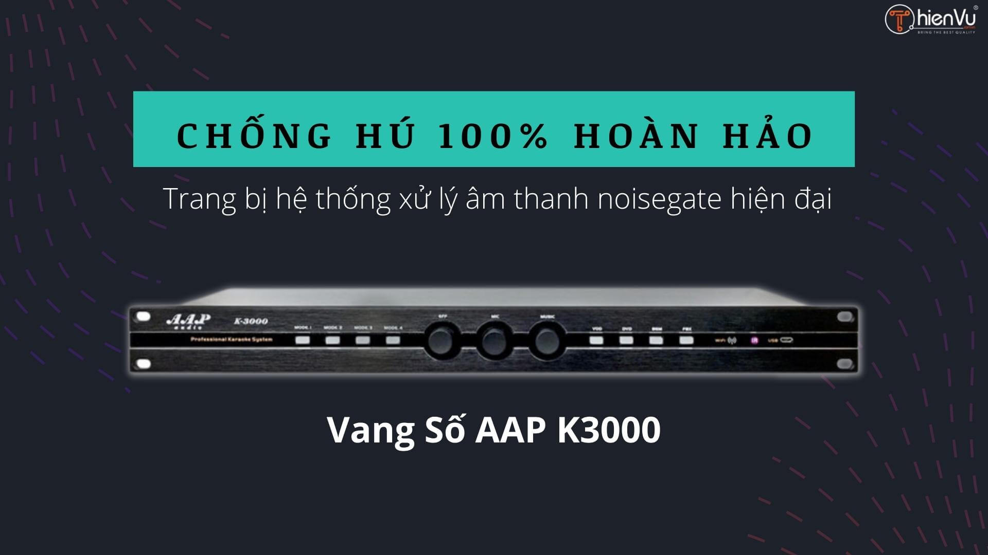 vang-so-karaoke-aap-k3000-thien-vu